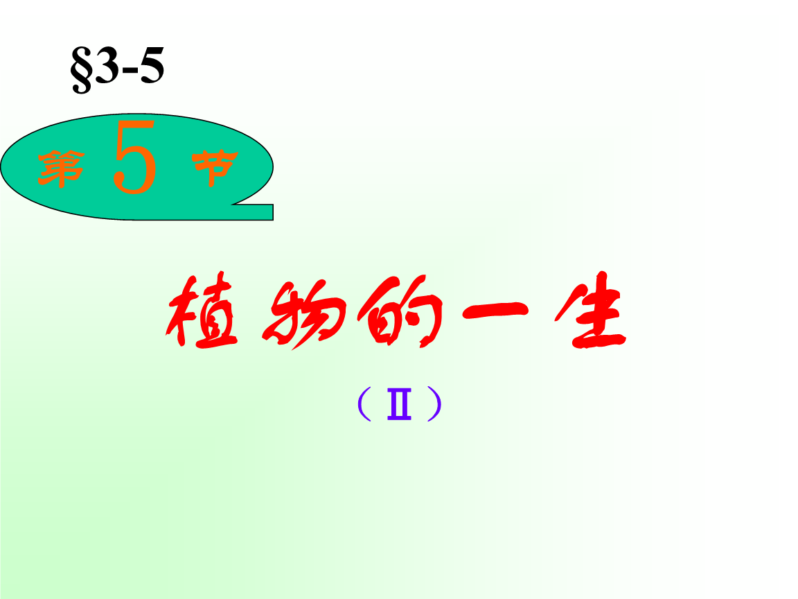 乐发II官网