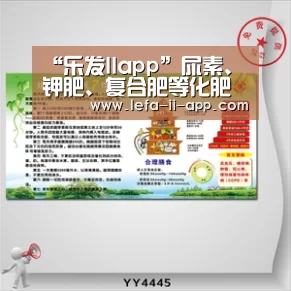 乐发IIAPP下载