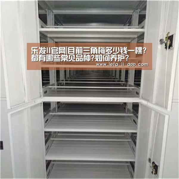 乐发II官方入口