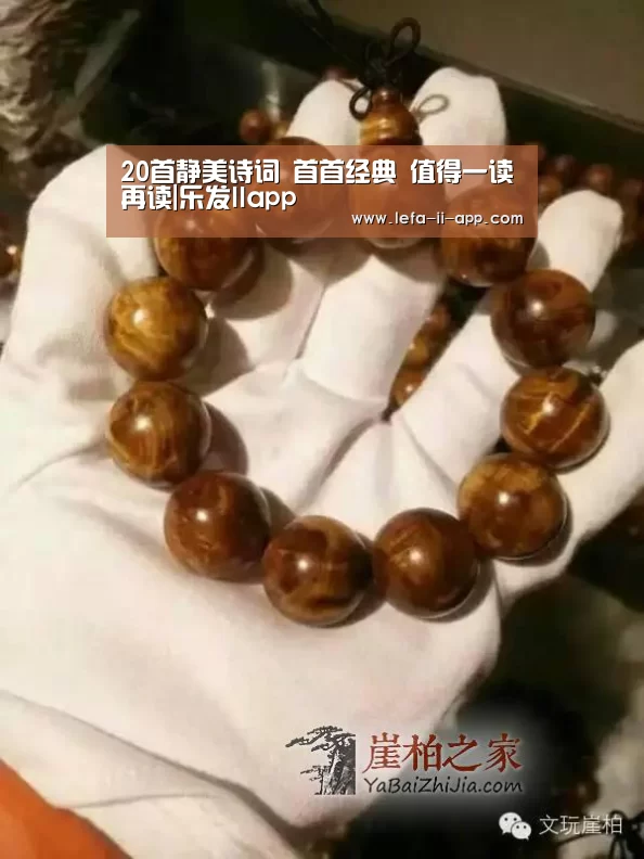 20首静美诗词 首首经典 值得一读再读|乐发IIapp(图4) 乐发II官方入口